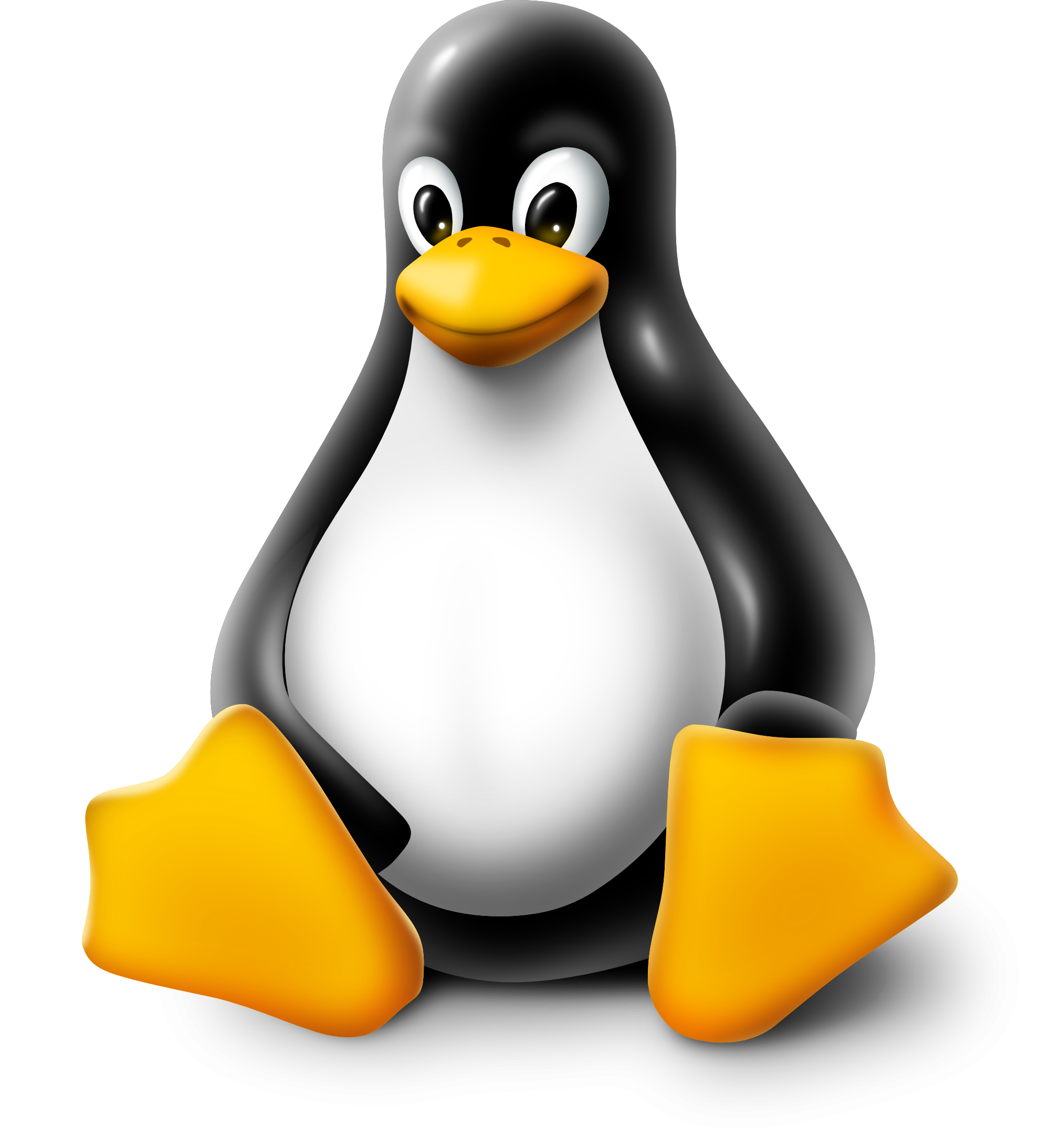 Виртуальный сервер Linux